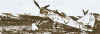 air_d500_3.jpg (31921 octets)