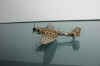 0142-Junkers Ju 87R img5.jpg (33602 octets)