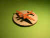 DSCN9460.JPG (65193 octets)