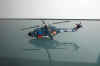 0225-Westland Lynx img3.jpg (31907 octets)