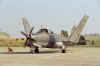 alysee.jpg (302995 octets)