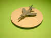 DSCN9522.JPG (74574 octets)