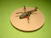 DSCN9528.JPG (77534 octets)