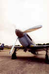yak3 07.jpg (1736693 octets)