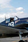 Hell cat 03.JPG (1099414 octets)