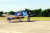 Hell cat 04.jpg (2386283 octets)