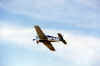 Hell cat 05.jpg (2067458 octets)