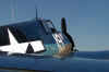 Hell cat 08.JPG (1141999 octets)